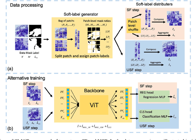 Figure 1 for Shuffle Instances-based Vision Transformer for Pancreatic Cancer ROSE Image Classification