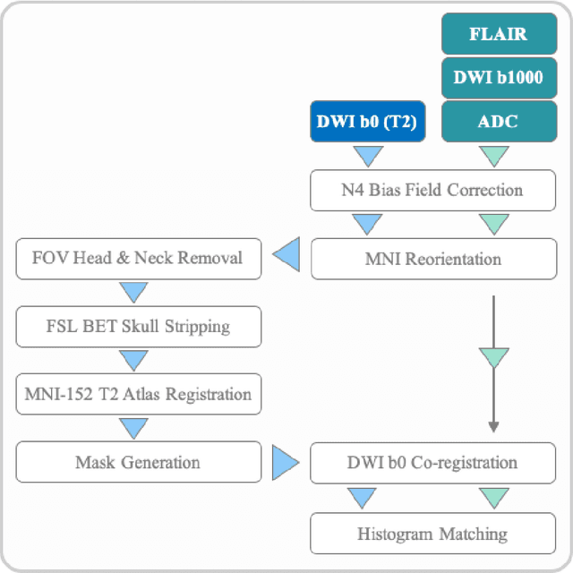 Figure 3 for Intra-Domain Task-Adaptive Transfer Learning to Determine Acute Ischemic Stroke Onset Time