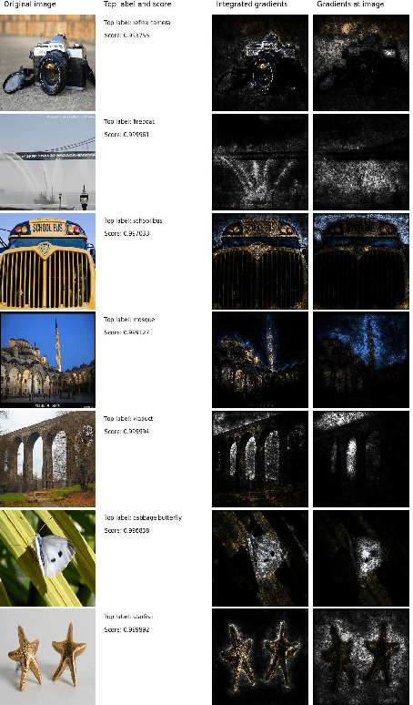 Figure 2 for Axiomatic Attribution for Deep Networks