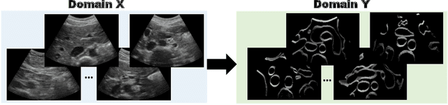 Figure 2 for CACTUSS: Common Anatomical CT-US Space for US examinations