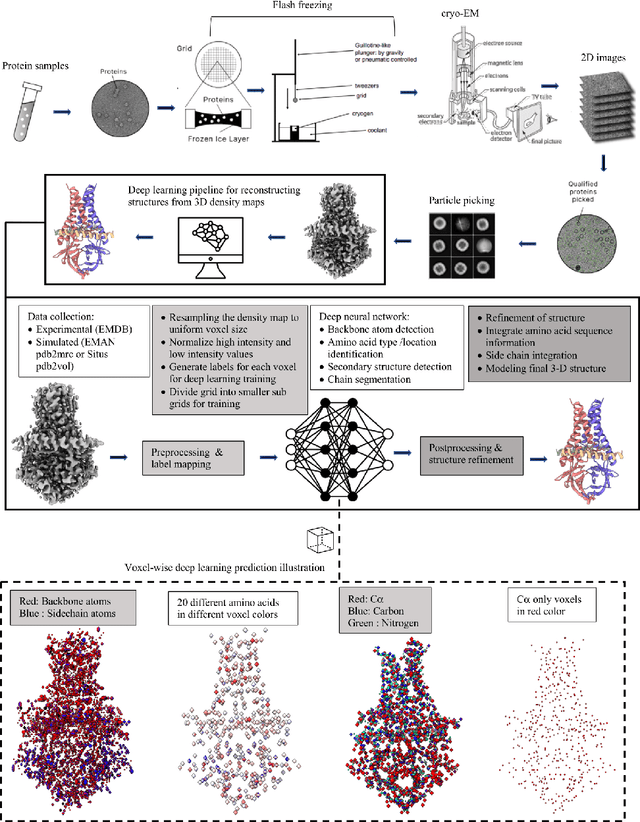 Figure 3 for Deep learning for reconstructing protein structures from cryo-EM density maps: recent advances and future directions