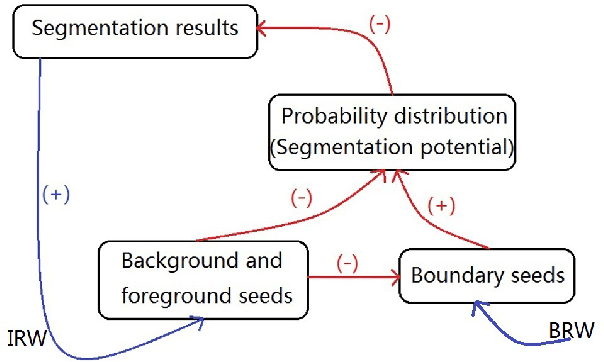 Figure 2 for An Iterative Boundary Random Walks Algorithm for Interactive Image Segmentation