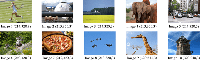 Figure 1 for Tensor Shape Search for Optimum Data Compression