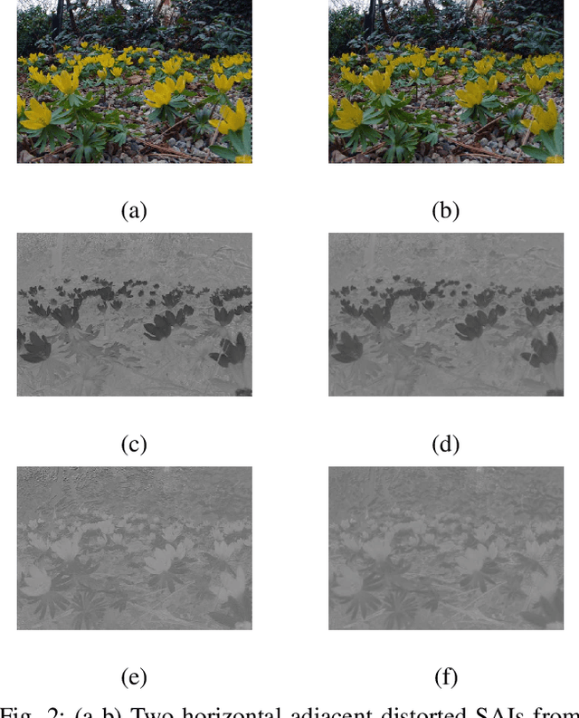 Figure 2 for Tensor Oriented No-Reference Light Field Image Quality Assessment