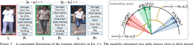 Figure 3 for ASMR: Learning Attribute-Based Person Search with Adaptive Semantic Margin Regularizer