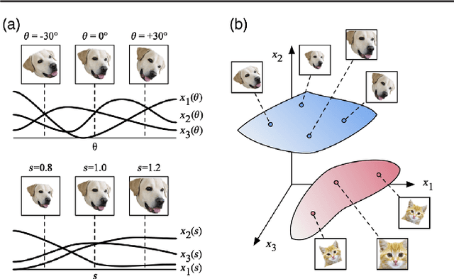 Figure 1 for Classification and Geometry of General Perceptual Manifolds