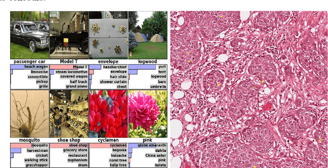 Figure 1 for Graphs for deep learning representations