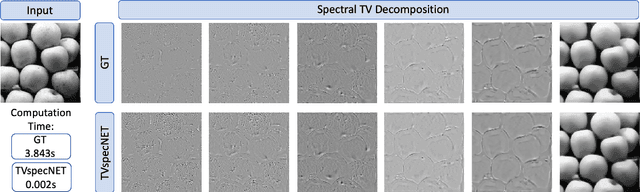 Figure 1 for Deeply Learned Spectral Total Variation Decomposition