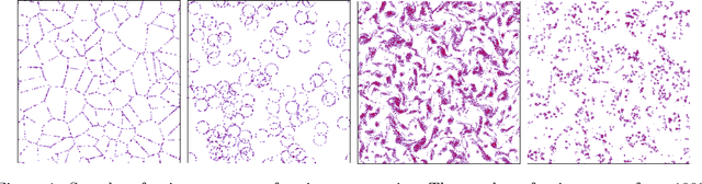 Figure 1 for Particle gradient descent model for point process generation