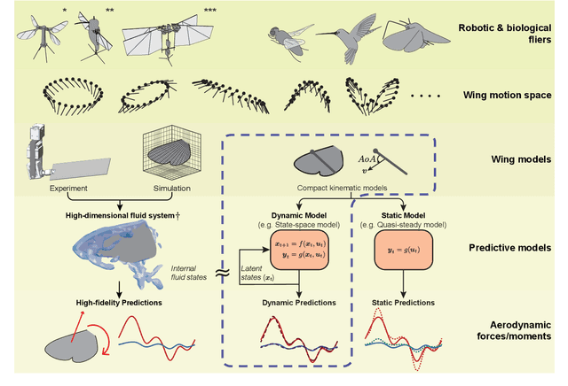 Figure 1 for State-space aerodynamic model reveals high force control authority and predictability in flapping flight