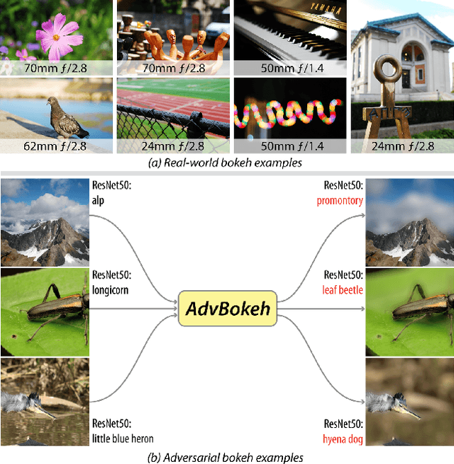 Figure 1 for AdvBokeh: Learning to Adversarially Defocus Blur