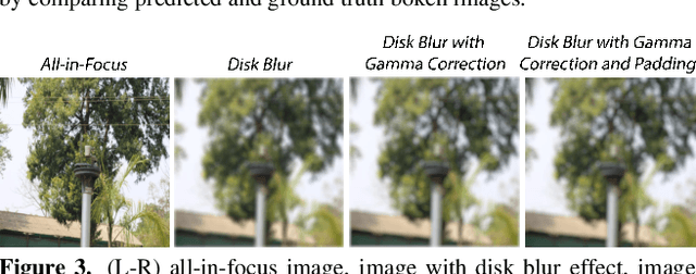 Figure 4 for AdvBokeh: Learning to Adversarially Defocus Blur
