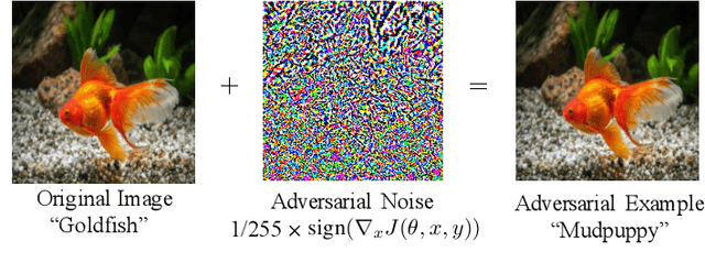 Figure 1 for Generalizable Adversarial Examples Detection Based on Bi-model Decision Mismatch