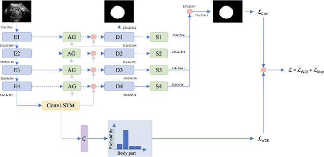 Figure 3 for FetalNet: Multi-task deep learning framework for fetal ultrasound biometric measurements