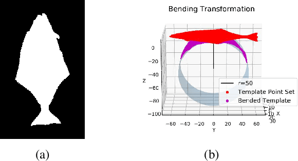 Figure 1 for Absolute 3D Pose Estimation and Length Measurement of Severely Deformed Fish from Monocular Videos in Longline Fishing