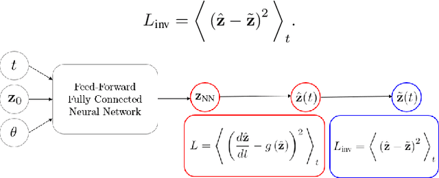 Figure 1 for Semi-supervised Neural Networks solve an inverse problem for modeling Covid-19 spread