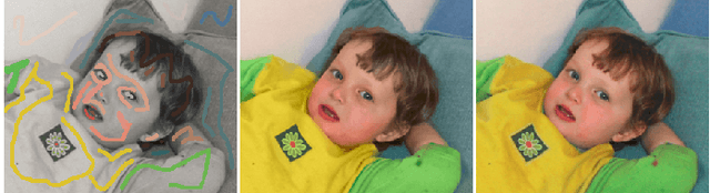 Figure 1 for Two Decades of Colorization and Decolorization for Images and Videos