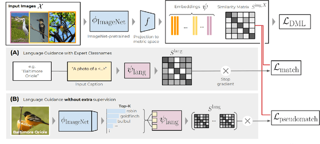 Figure 3 for Integrating Language Guidance into Vision-based Deep Metric Learning