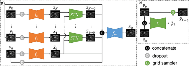 Figure 1 for Deformed2Self: Self-Supervised Denoising for Dynamic Medical Imaging