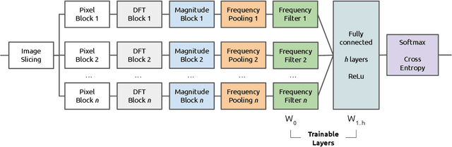 Figure 1 for Frequency learning for image classification