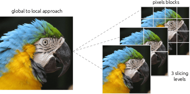 Figure 2 for Frequency learning for image classification