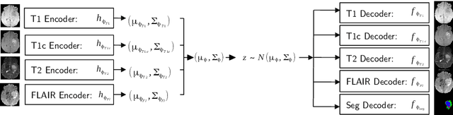 Figure 1 for Hetero-Modal Variational Encoder-Decoder for Joint Modality Completion and Segmentation