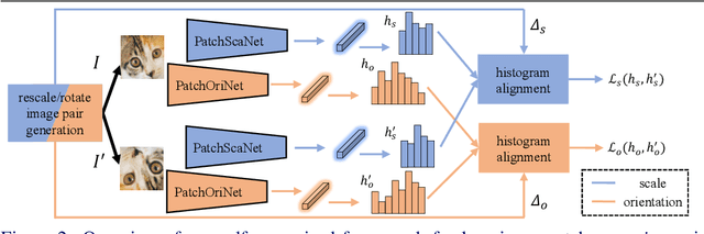 Figure 3 for Self-Supervised Learning of Image Scale and Orientation