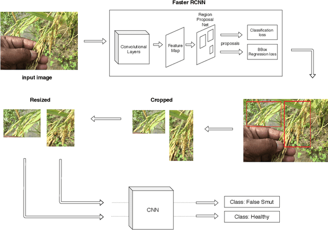 Figure 4 for Rice grain disease identification using dual phase convolutional neural network-based system aimed at small dataset