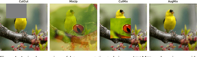 Figure 1 for AugMix: A Simple Data Processing Method to Improve Robustness and Uncertainty