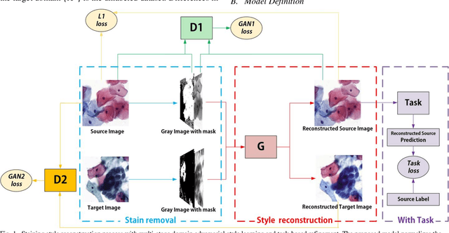 Figure 1 for Multi-stage domain adversarial style reconstruction for cytopathological image stain normalization