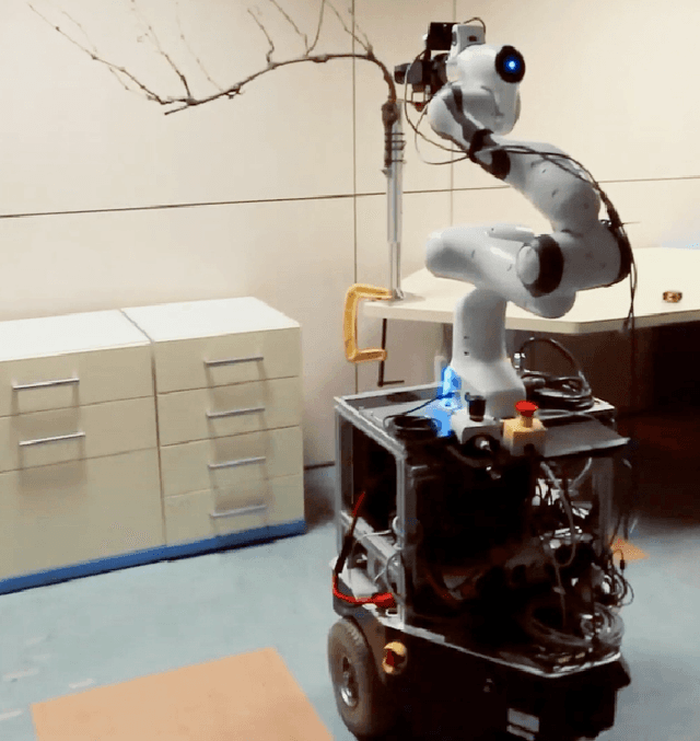 Figure 1 for Whole-Body Control on Non-holonomic Mobile Manipulation for Grapevine Winter Pruning Automation