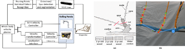 Figure 4 for Whole-Body Control on Non-holonomic Mobile Manipulation for Grapevine Winter Pruning Automation