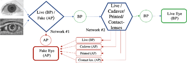 Figure 1 for Iris Liveness Detection using a Cascade of Dedicated Deep Learning Networks