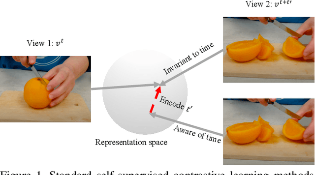 Figure 1 for Composable Augmentation Encoding for Video Representation Learning