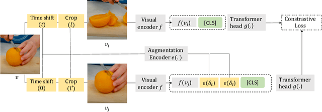 Figure 3 for Composable Augmentation Encoding for Video Representation Learning