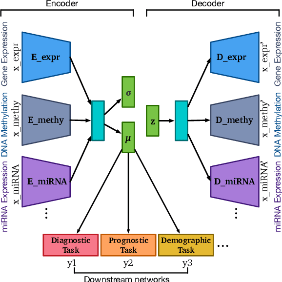 Figure 1 for OmiEmbed: reconstruct comprehensive phenotypic information from multi-omics data using multi-task deep learning