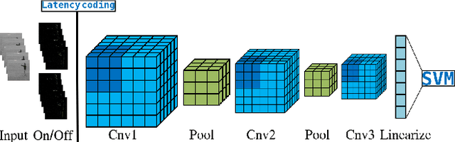 Figure 1 for 2D versus 3D Convolutional Spiking Neural Networks Trained with Unsupervised STDP for Human Action Recognition