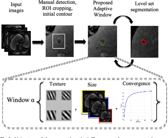 Figure 1 for Adaptive Local Window for Level Set Segmentation of CT and MRI Liver Lesions