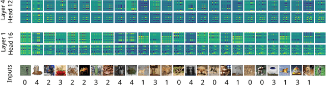 Figure 1 for Images as Weight Matrices: Sequential Image Generation Through Synaptic Learning Rules