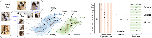 Figure 1 for Provable Guarantees for Self-Supervised Deep Learning with Spectral Contrastive Loss