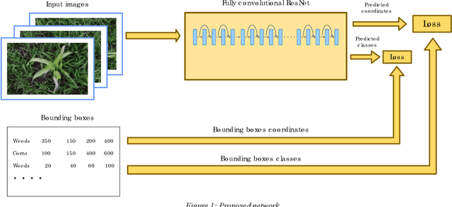 Figure 1 for Corn leaf detection using Region based convolutional neural network