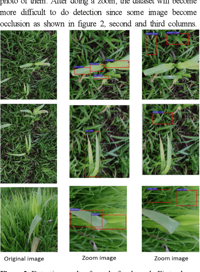 Figure 3 for Corn leaf detection using Region based convolutional neural network