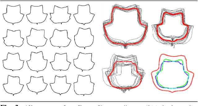 Figure 3 for Geometric Median Shapes