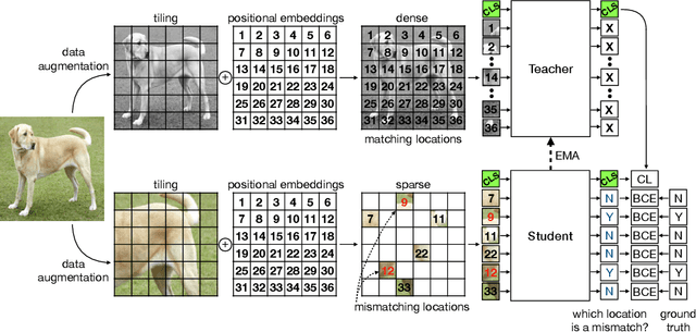 Figure 3 for DILEMMA: Self-Supervised Shape and Texture Learning with Transformers