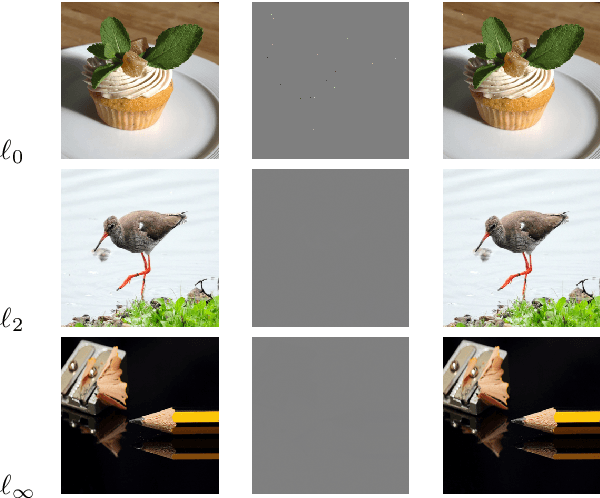 Figure 3 for Detection of Iterative Adversarial Attacks via Counter Attack