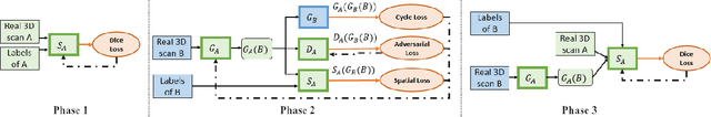 Figure 3 for Shape-consistent Generative Adversarial Networks for multi-modal Medical segmentation maps
