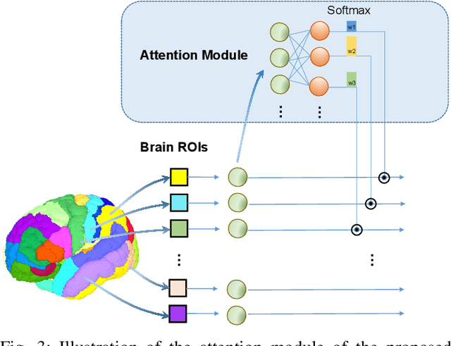 Figure 3 for Attention-Guided Autoencoder for Automated Progression Prediction of Subjective Cognitive Decline with Structural MRI