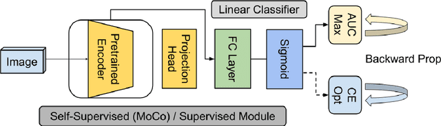 Figure 2 for Performance or Trust? Why Not Both. Deep AUC Maximization with Self-Supervised Learning for COVID-19 Chest X-ray Classifications