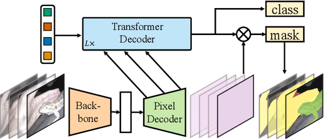 Figure 1 for Mask2Former for Video Instance Segmentation