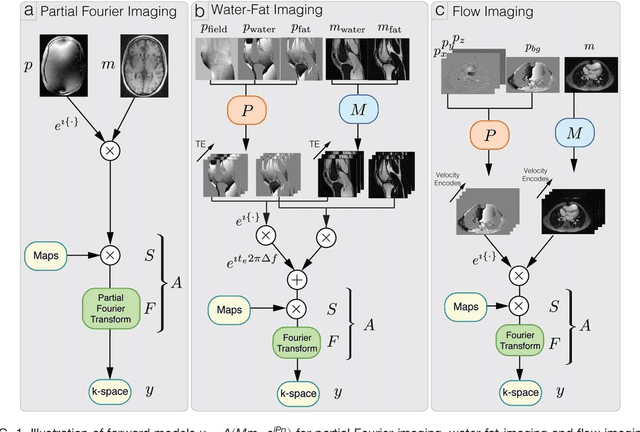 Figure 1 for General Phase Regularized Reconstruction using Phase Cycling